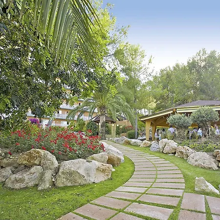 Ona Palmira Paradise
