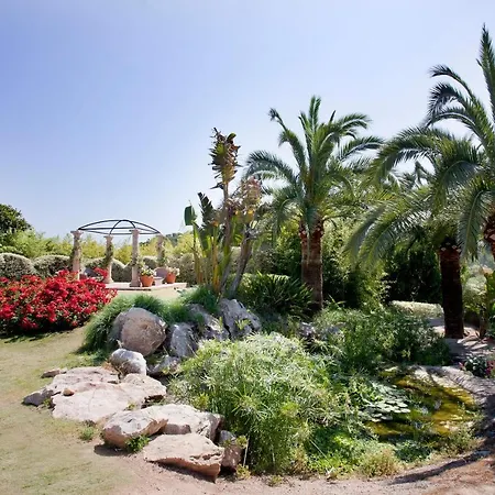 Ona Palmira Paradise Paguera 4*
